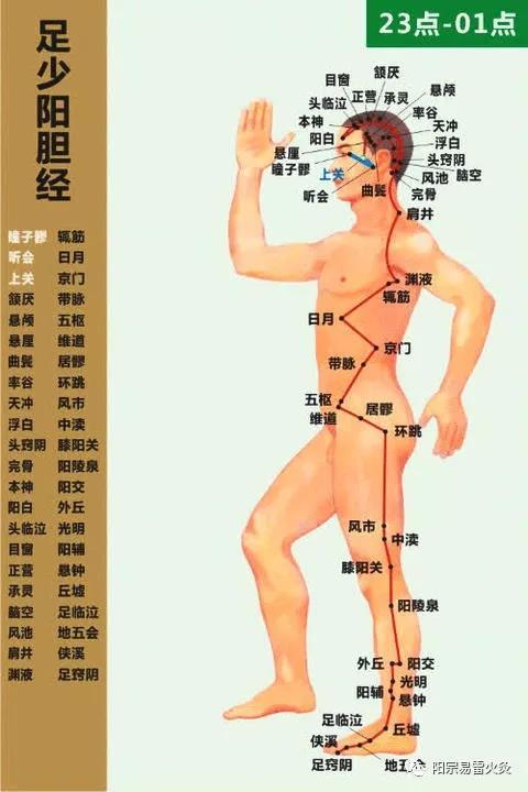 饮食搭配：药补不如食补