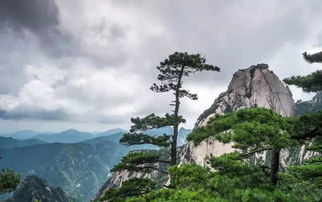 黄山，一个让人心动的旅行目的地
