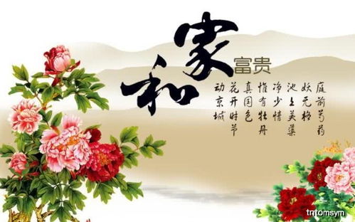男命带童子桃花，这样的命理特征对婚姻生活有哪些具体影响呢？