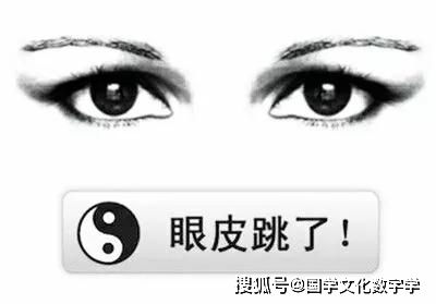 虎