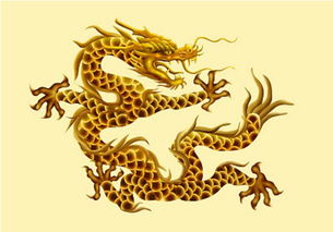 七月二十五日属龙人运势如何，二月二十五日运势有何不同？