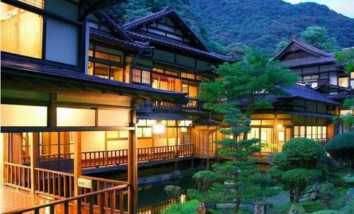 周边美食与住宿：味蕾上的惊喜还是陷阱？