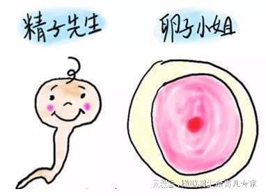 一、 缘起：天道轮回，孕育之妙