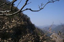 老君山：一座让你遗忘烦恼的