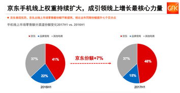 第四站：线上平台——京东、 拼更多更多、抖音商城