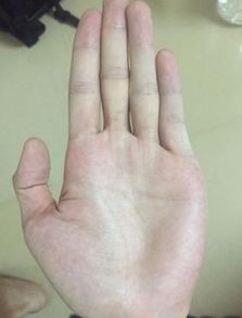 如何通过看施主手相来给人准确解读命运？