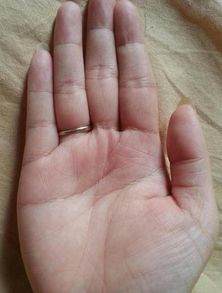 一、情感世界繁杂