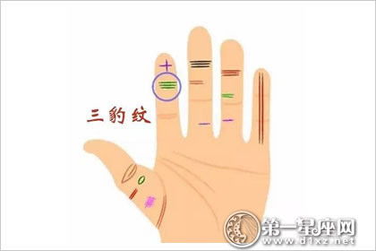 三、三豹纹——娶个好老婆嫁个好老公也嫩致富