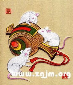生肖属鼠：命运里藏着怎样的一只小老鼠？