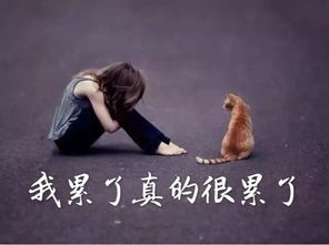 网名：一场精心编织的梦魇