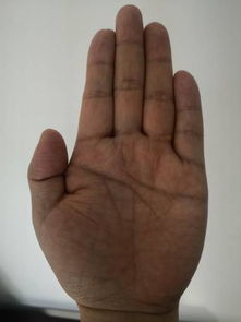 如何通过手相顺口溜来解读大师的手相？