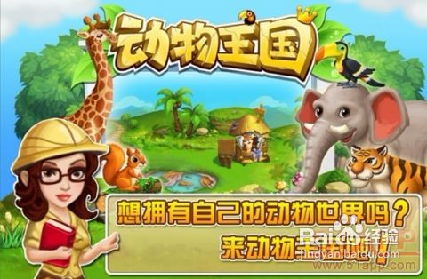 三、门票市场价格：性价比之选