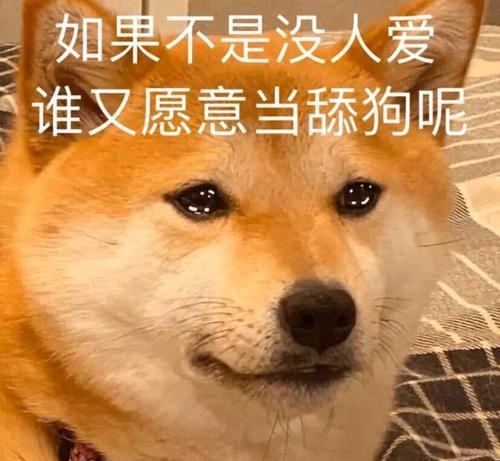 为哪些要给狗年诞生的男宝宝取特别的较小名？