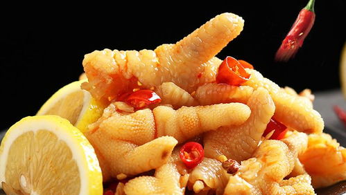 平原乳鸽——一道美食佳肴