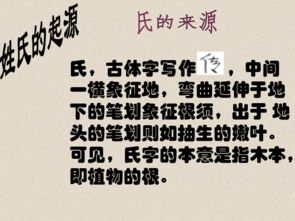 一、 姓名学的荒诞与浪漫