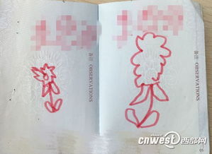 护照办理流程