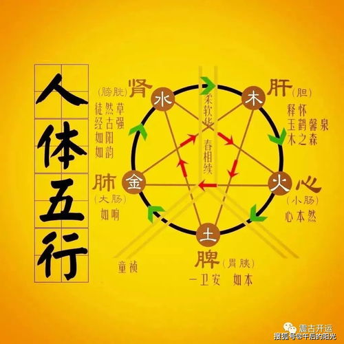 从指头数数到宇宙真理：五行理论如何诞生