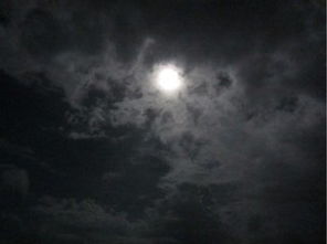 黑狗血与桃木剑