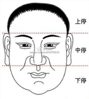 四、鼻子较大较小与比例：财帛宫的暗号！