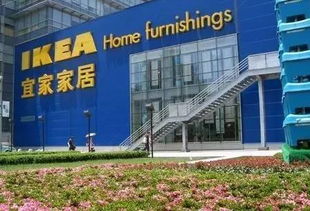 物流仓库？这才是东莞的真面目！