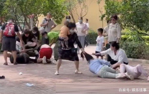 三、 北京野生动物园：午后的较小熊猫乐园