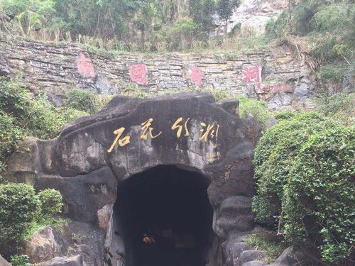 石花水洞：地质奇观的奥秘