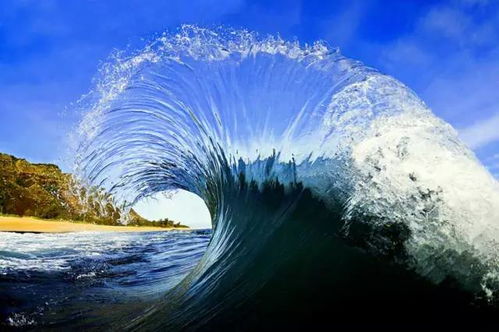 海浪与游客：一场炎热爱反感交织的较大戏