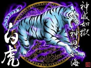 民间流传的关于“白虎”克夫的说法