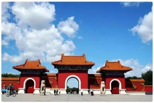 一、 神秘的千朝园，揭开面纱的诱惑