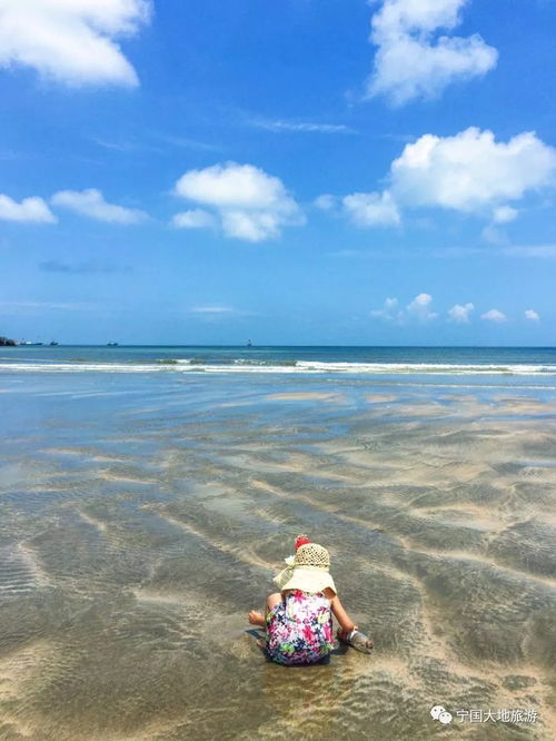 四、 海滨浴场：夏日清凉与浪花相伴