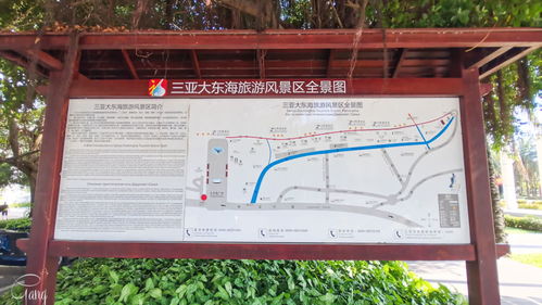 震惊！景区店铺起名竟然藏着这么多猫腻？！