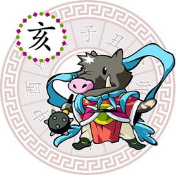 成语化用法与生肖适配原则