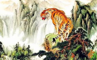 救命！2026年水虎命的人都是神经病？