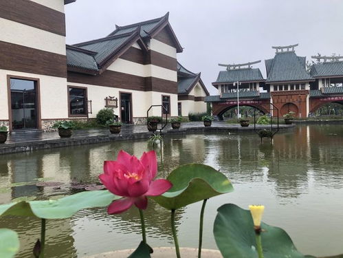3.1 周边配套设施乱入指南