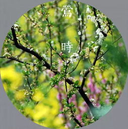 揭秘不同笔画背后的桃花运势