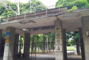 文化广场：大妈の战场！
