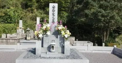 月光下的墓碑