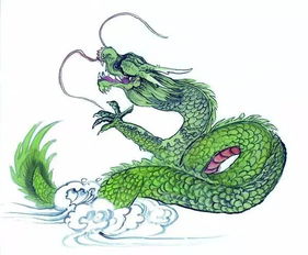 五、 风水布局提议：给家居增添良好运气氛