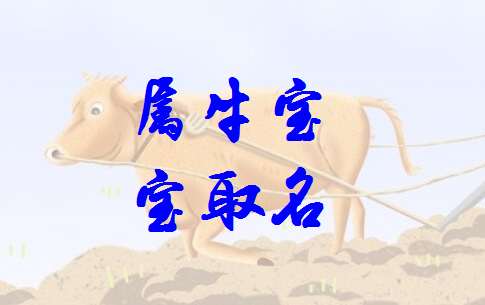 二、 属牛男孩取名技巧：从五行到诗词灵感