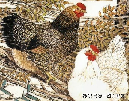 自求多福的动物和头强身体壮的动物分别代表哪个生肖？