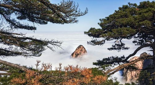 黄山0550神秘之地——一场不靠谱的“探险”