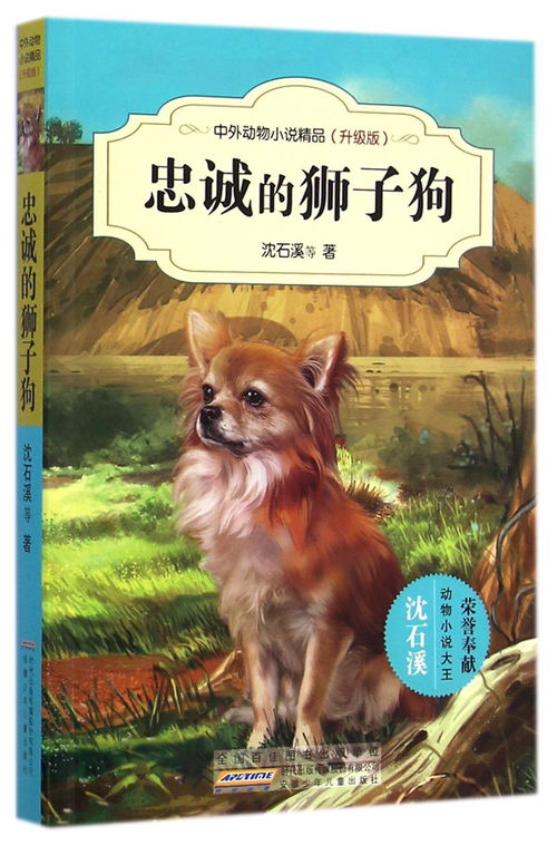满族狗文化：忠诚吉祥，民族风情爆款！
