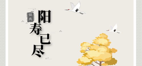 八字怎么看阳寿已尽,八字怎么看啥时候能有对象