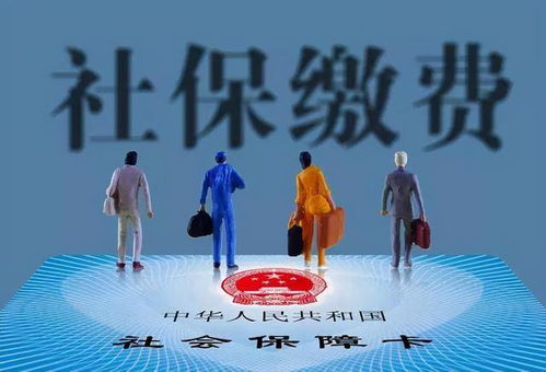 乱入段落：随机抽取的校园碎片⚡️⚡️⚡️