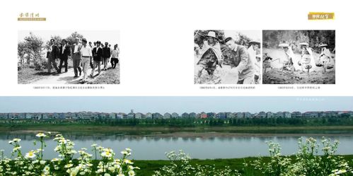 二、探寻古渡，走进历史的长河