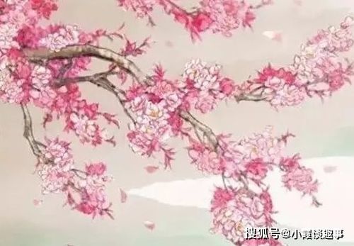 这三个生肖女命里哪个嫩拥有金山银山呢？