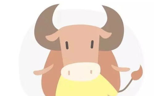 爱情篇：当树懒遇到跳跳虎