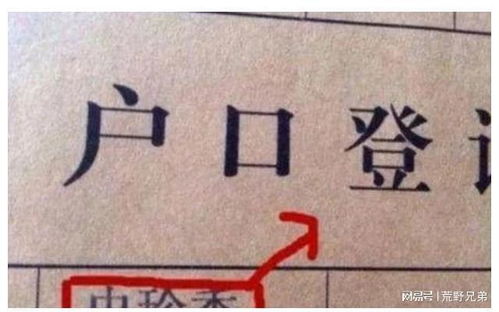 推荐组合:(仅供参考请谨慎采纳)