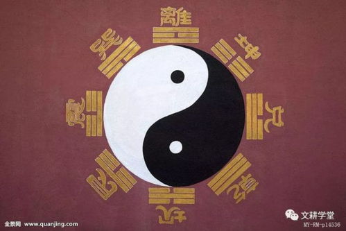 二、 乾卦：纯阳之象与独裁者特质