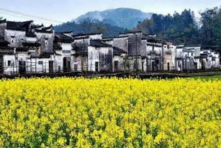 Day3：荒野求生特别篇